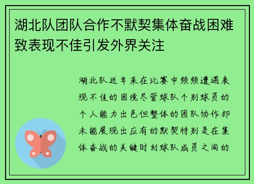 湖北队团队合作不默契集体奋战困难致表现不佳引发外界关注